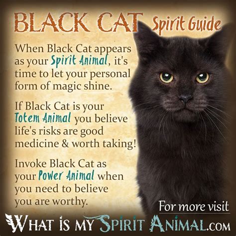 The Magic of Obsidian Hued Felines: Voodoo's Cursed Companions